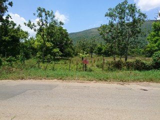 Burnt Savannah, St. Elizabeth, Jamaica - Residential lot for Sale